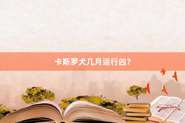 卡斯罗犬几月运行凶?